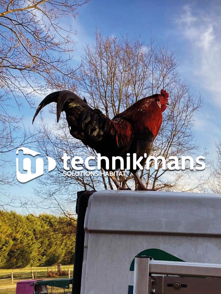 Technik'mans